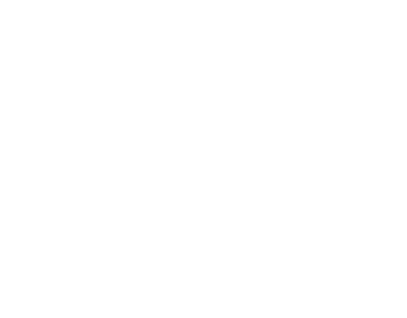 Pinnacle Vehicle Solutions
